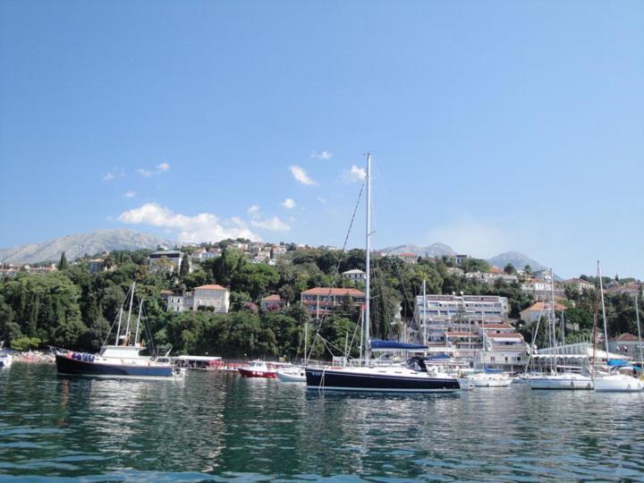 Appartement Carpe diem vue mer Herceg Novi Exterior foto